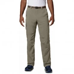 Columbia Men's Silver Ridge Cargo Pant