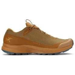 Arc'teryx Men's Aerios FL GTX Shoe