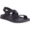 Chaco Women's Lowdown Sandal