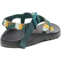 Chaco Women's Z/1 Classic