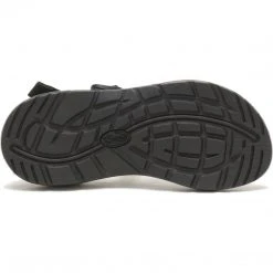 Chaco Women's Z/1 Classic