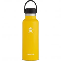 Hydro Flask 18 Oz Standard Mouth Water Bottle Camp & Hike