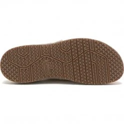 Chaco Women's Paonia Clog