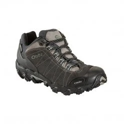 Oboz Men's Bridger Low Waterproof