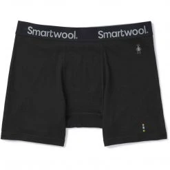 Smartwool Men's Merino Sport 150 Boxer Brief
