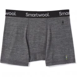 Smartwool Men's Merino Sport 150 Boxer Brief