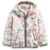 The North Face Toddler Campshire Hoodie Kids