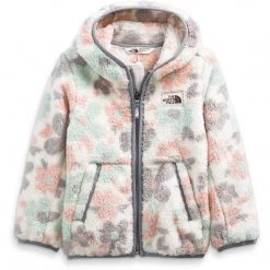 The North Face Toddler Campshire Hoodie Kids