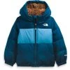 The North Face Toddler Moondoggy Hoodie Kids