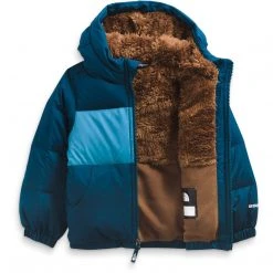 The North Face Toddler Moondoggy Hoodie Kids