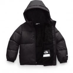 The North Face Toddler Moondoggy Hoodie Kids