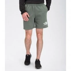 The North Face Men's Coordinates Short