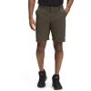 The North Face Men's Paramount Horizon Short