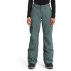 The North Face Women's Freedom Insulated Pant