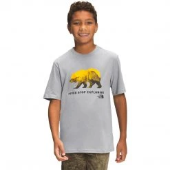 The North Face Kids Boys' Short Sleeve Graphic Tee