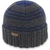 Pistil Men's Perch Beanie