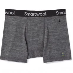 Smartwool Men's Merino Sport 150 Boxer Brief