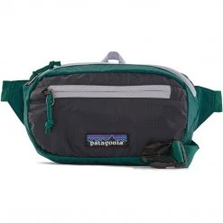 Patagonia Camp & Hike Ultralight Black Hole Mini Hip Pack 1L