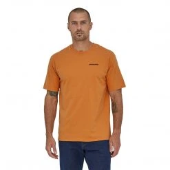 Patagonia Men's P-6 Mission Organic T-Shirt