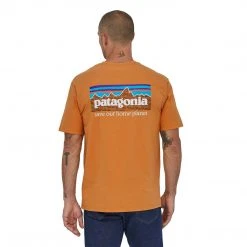 Patagonia Men's P-6 Mission Organic T-Shirt