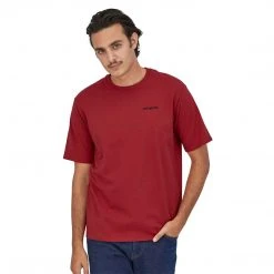 Patagonia Men's Fitz Roy Horizons Responsibili-Tee