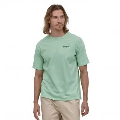 Patagonia Men's Fitz Roy Horizons Responsibili-Tee