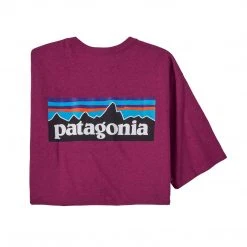 Patagonia Men's P-6 Logo Responsibili-Tee