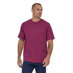 Patagonia Men's P-6 Logo Responsibili-Tee