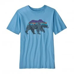Patagonia Boys' Regenerative Organic Certification Cotton Graphic T-Shirt Kids